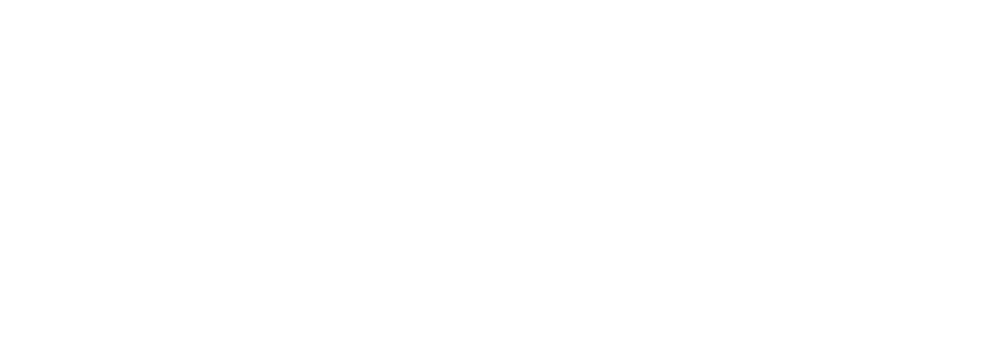 IDmii logo